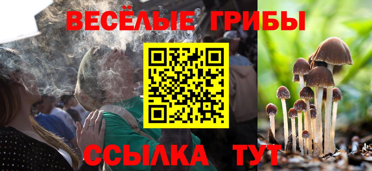 Псилоцибиновые грибы мухоморы Балашов