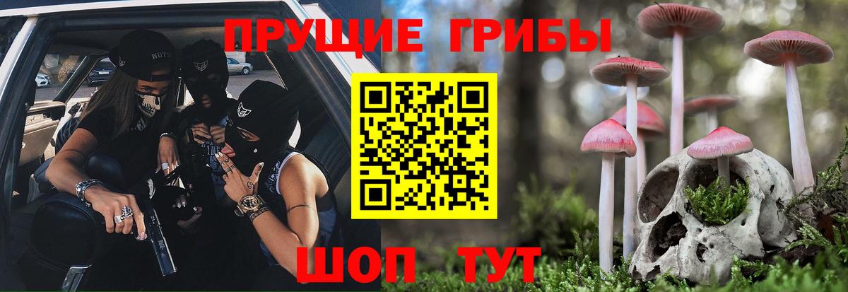 Балашов  Галлюциногенные грибы Cubensis  Вход с VPN 